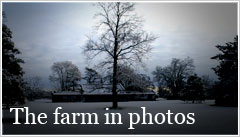 The farm in photos