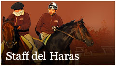 Staff del Haras